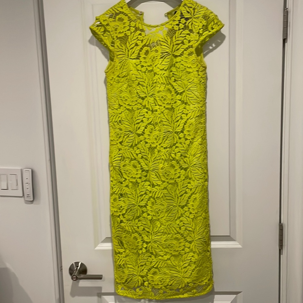 J. Crew Collection Lace Dress